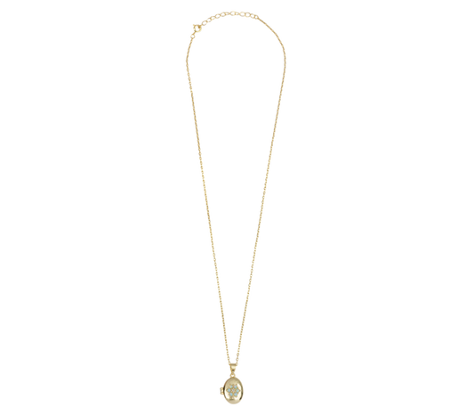 Sunlight Goldplated Ketting Medaillon Blauwe Bloem