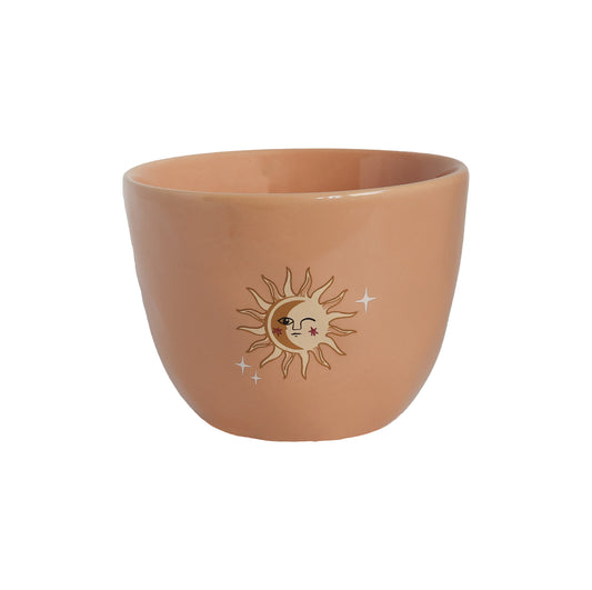 Grote Perzikkleurige Kop Zon