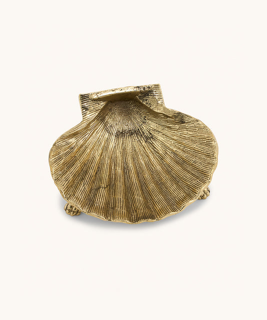 Scarlett Schelp Schaaltje Groot