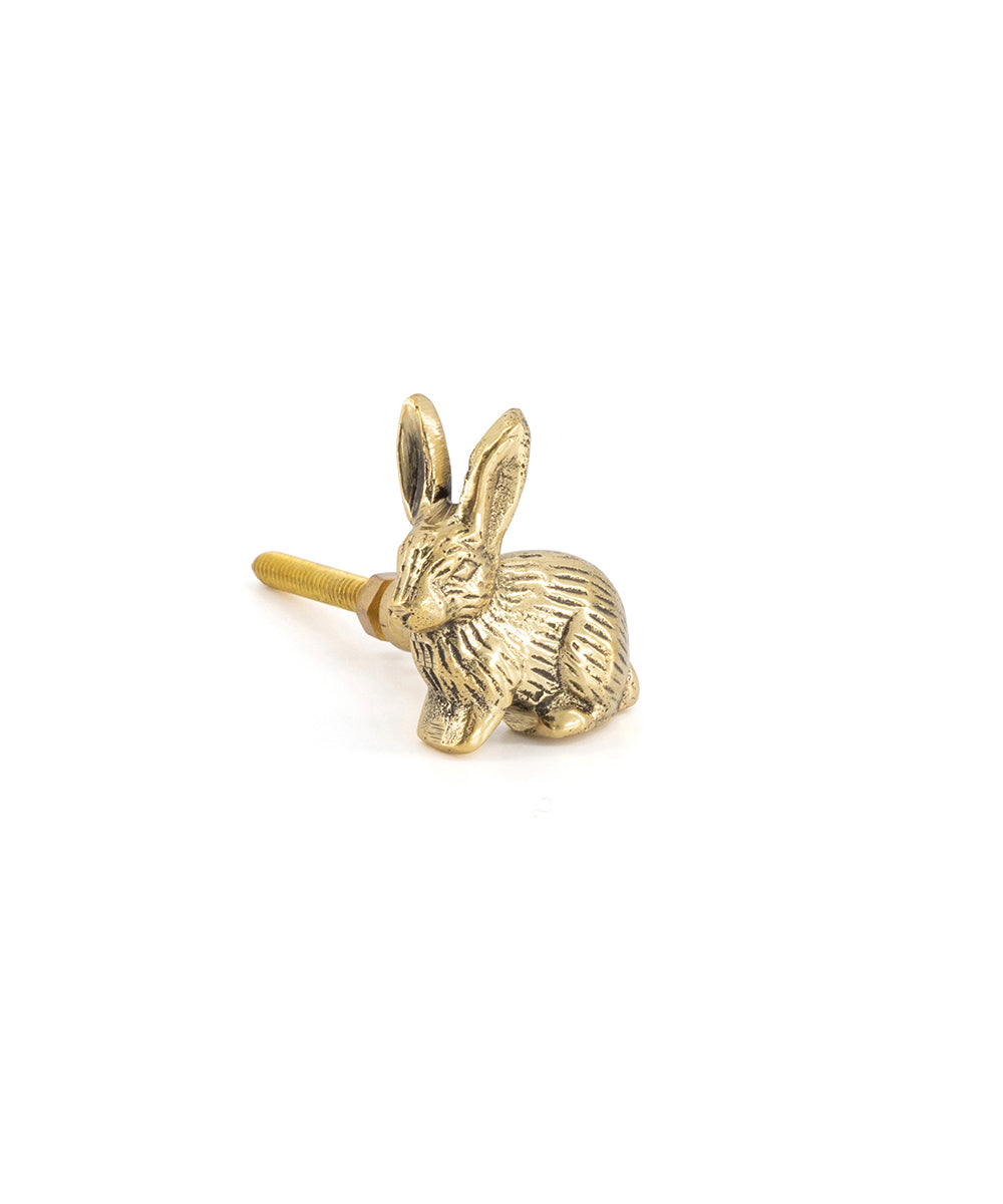 Bunny knop